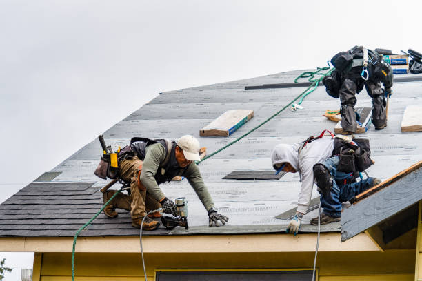 Professional Gutter Installation technician working in New Baltimore, VA